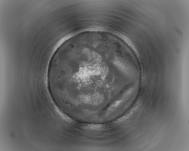 X0000112970845200909101651