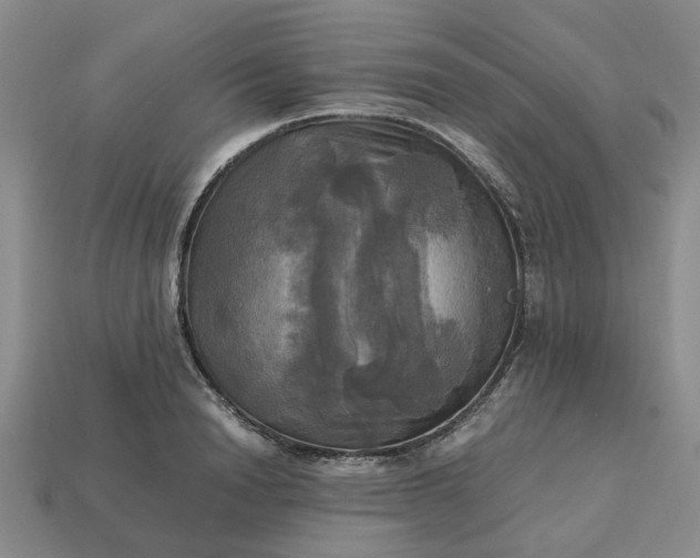 X0000112970846200909101651