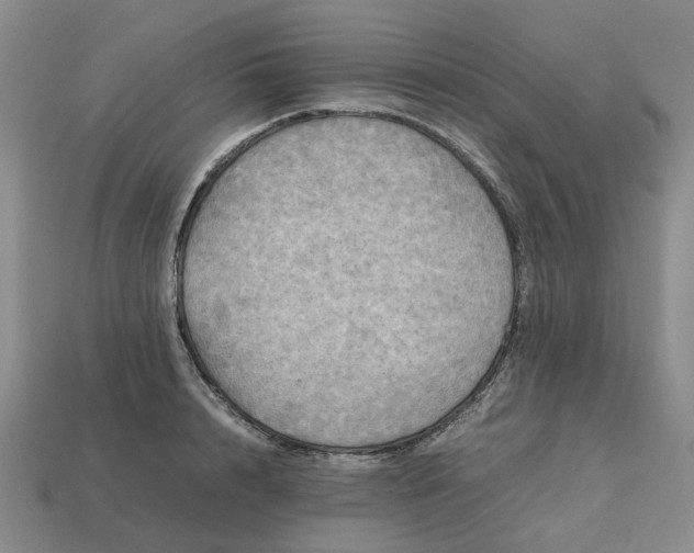 X0000112970848200909101651