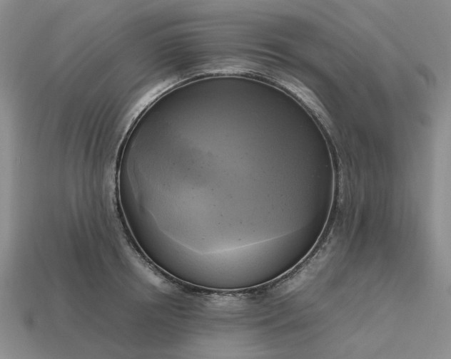 X0000112970850200909101651