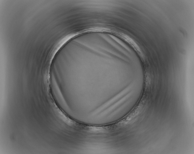 X0000112970852200909101651