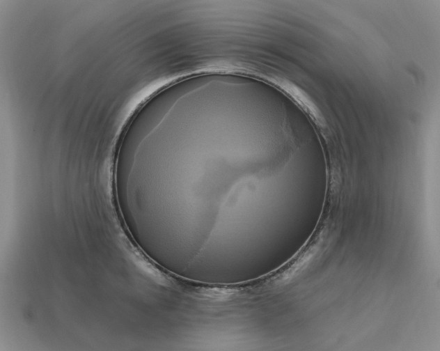 X0000112970854200909101651