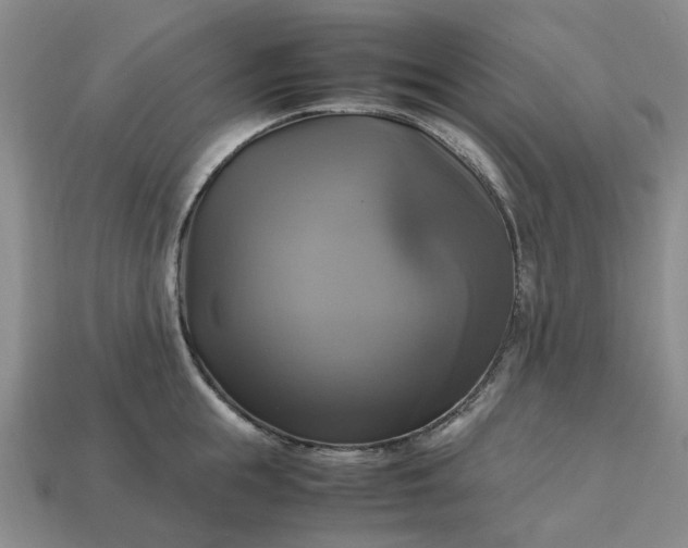 X0000112970855200909101651