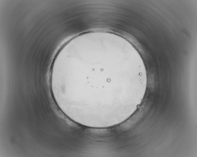 X0000112970856200909101651