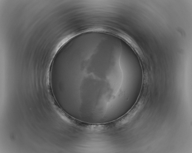 X0000112970858200909101651