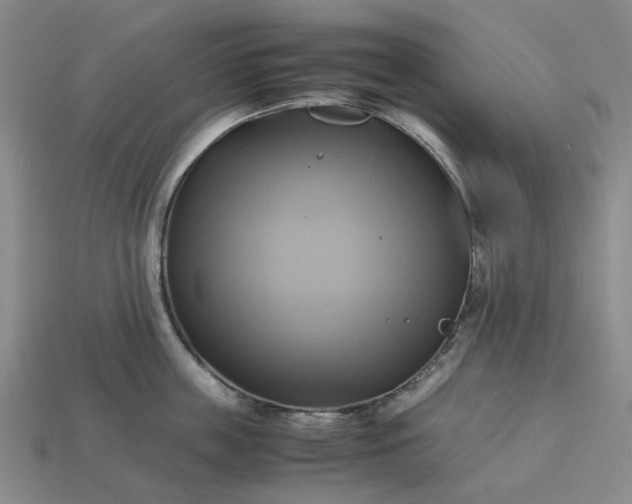 X0000112970859200909101651