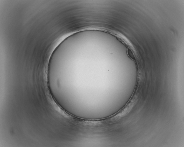 X0000112970860200909101651