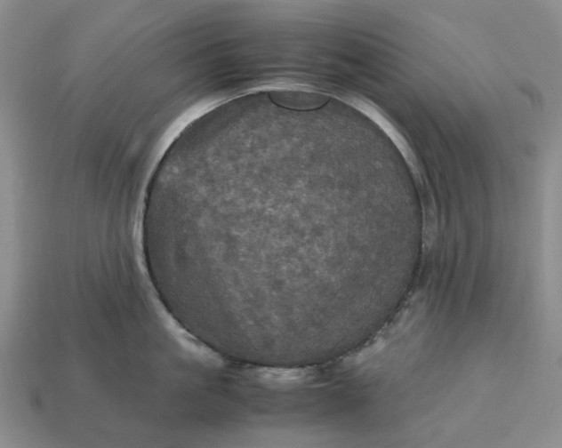 X0000112970861200909101651