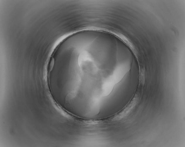 X0000112970862200909101651