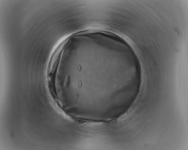 X0000112970864200909101652