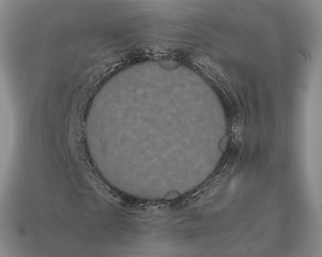 X0000112970865200909101651