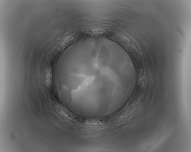 X0000112970866200909101651