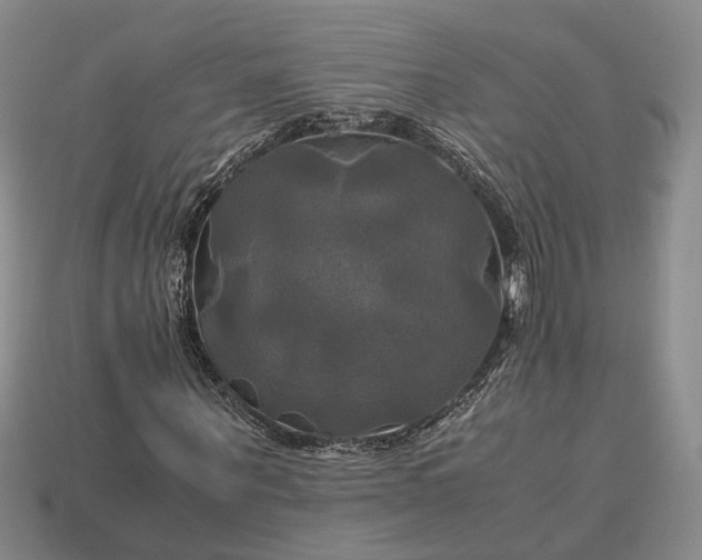 X0000112970867200909101651