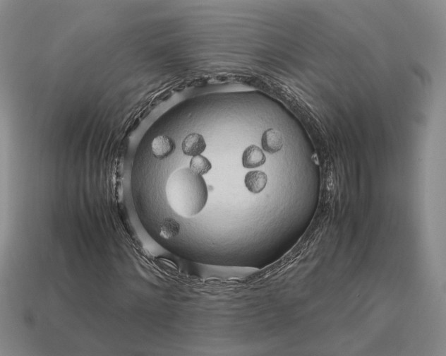 X0000112970868200909101651