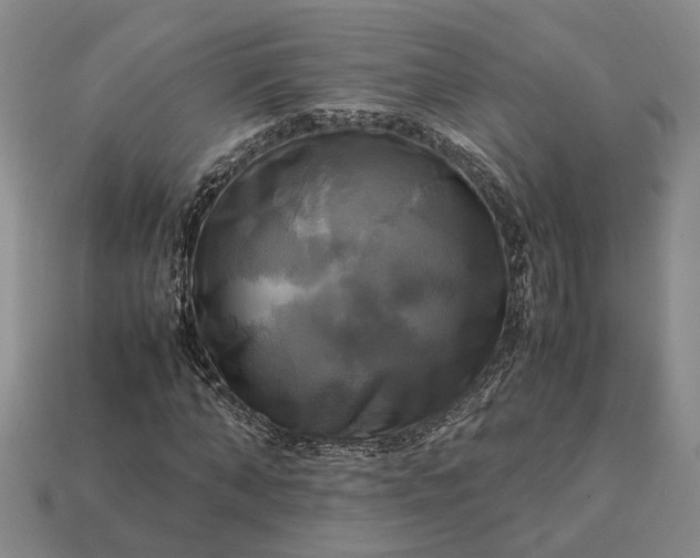 X0000112970870200909101651