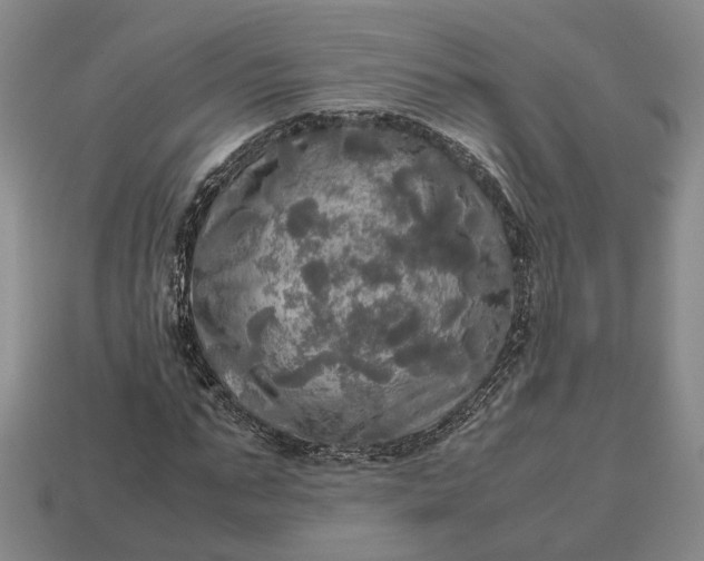 X0000112970871200909101651