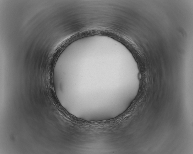 X0000112970872200909101651