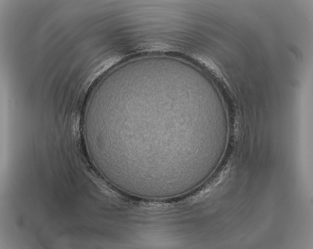 X0000112970873200909101651