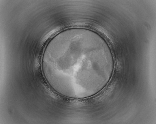 X0000112970874200909101651