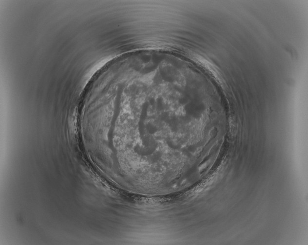 X0000112970875200909101651