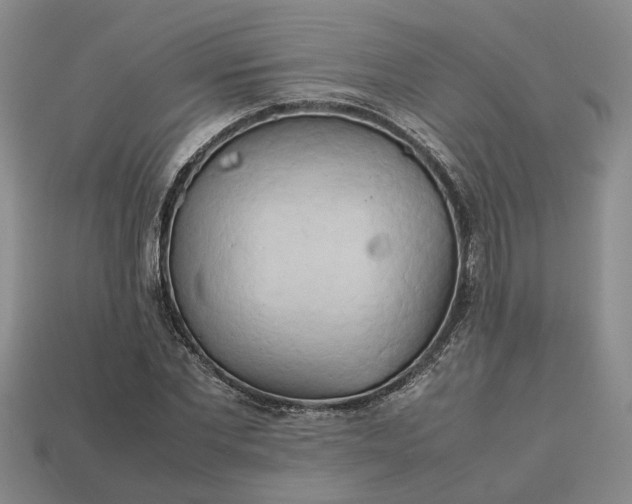 X0000112970877200909101651