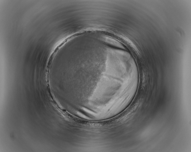 X0000112970878200909101651