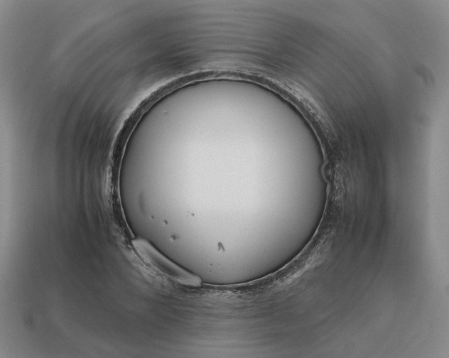 X0000112970880200909101651