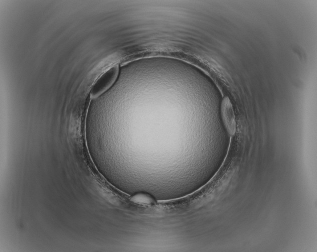 X0000112970881200909101651