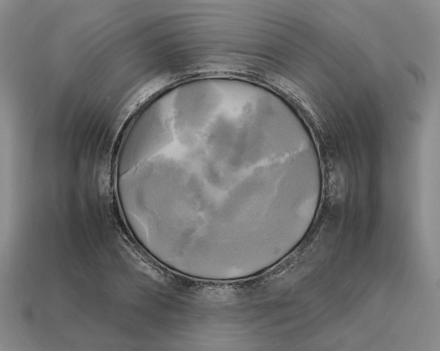 X0000112970882200909101651