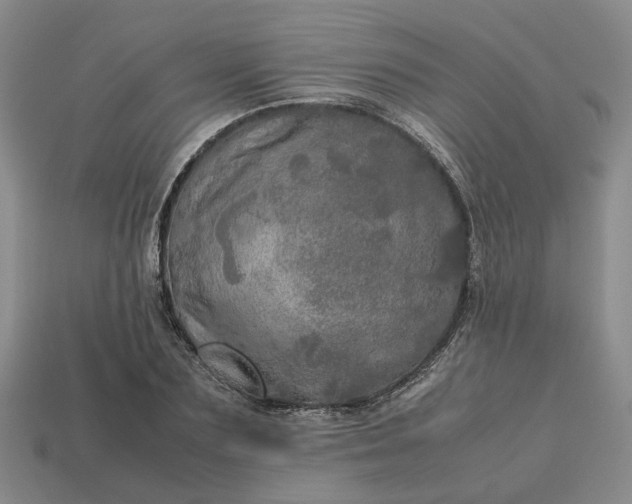 X0000112970883200909101650