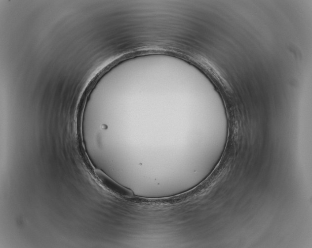 X0000112970884200909101650