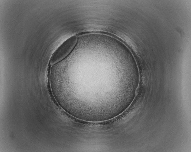 X0000112970885200909101650