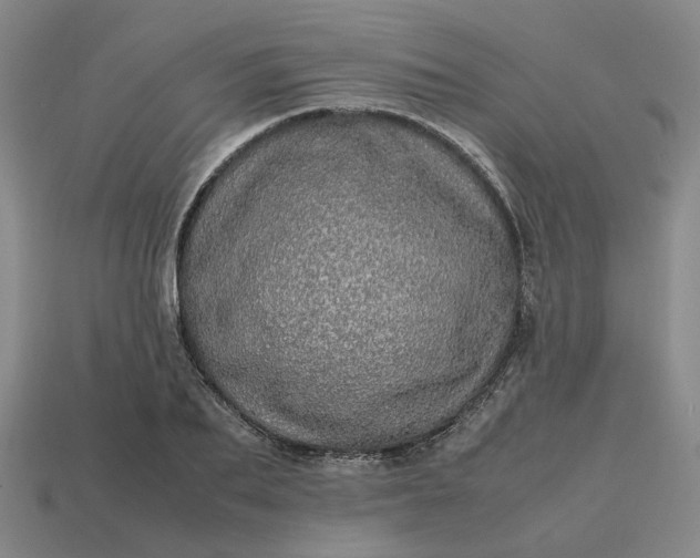 X0000112970887200909101650