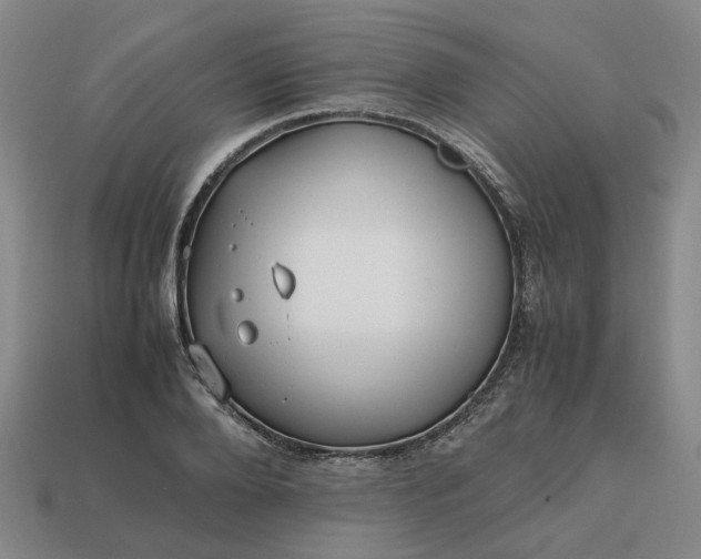 X0000112970888200909101650