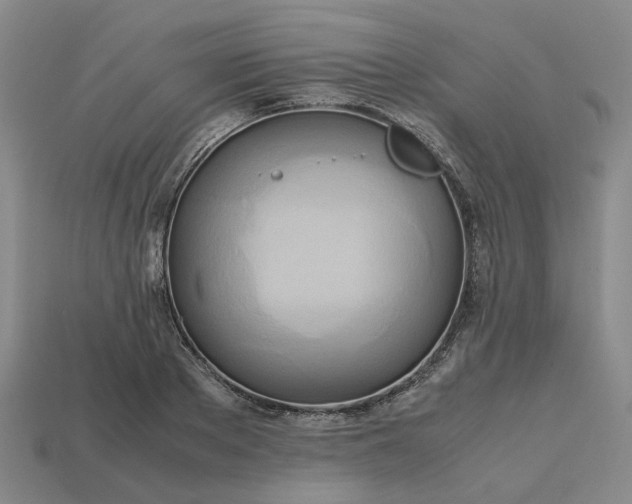 X0000112970889200909101650