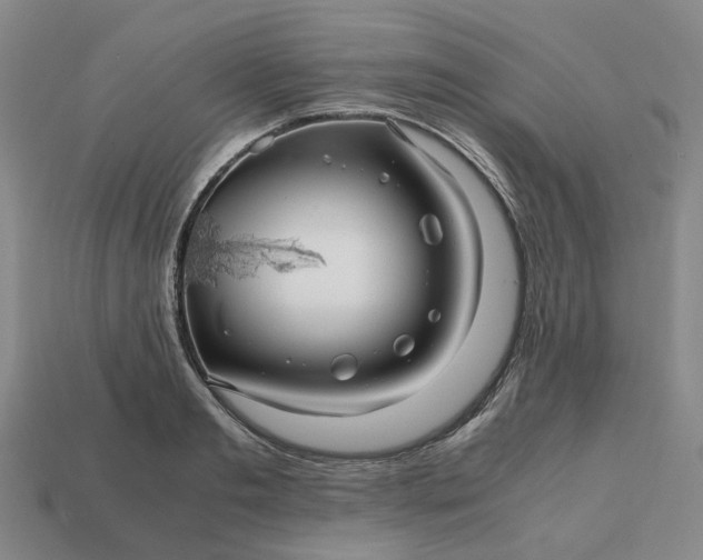 X0000112970893200909101650