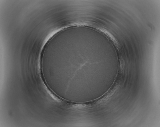 X0000112970894200909101650