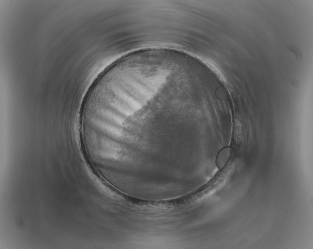 X0000112970895200909101650