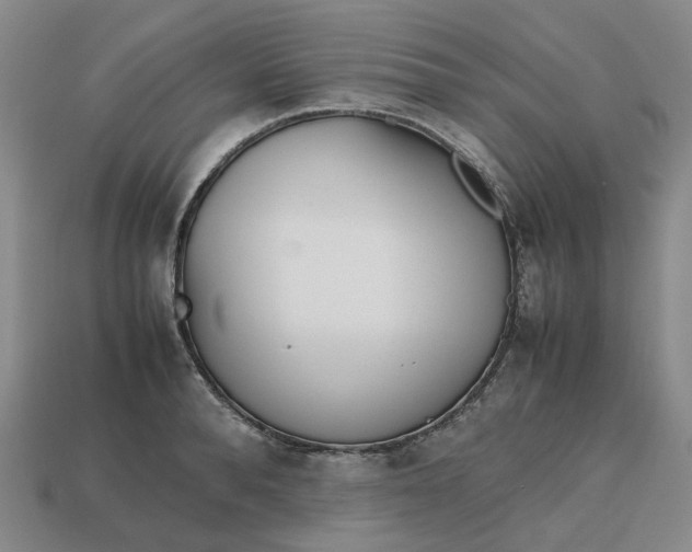 X0000112970896200909101650