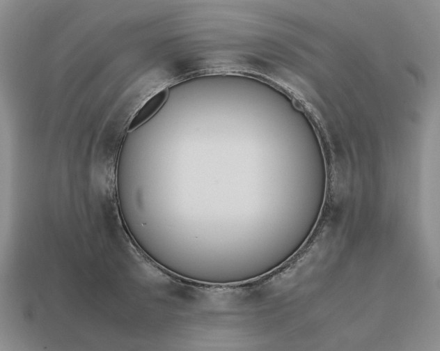 X0000112970897200909101650