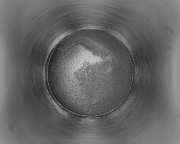 X0000112970898200909101650