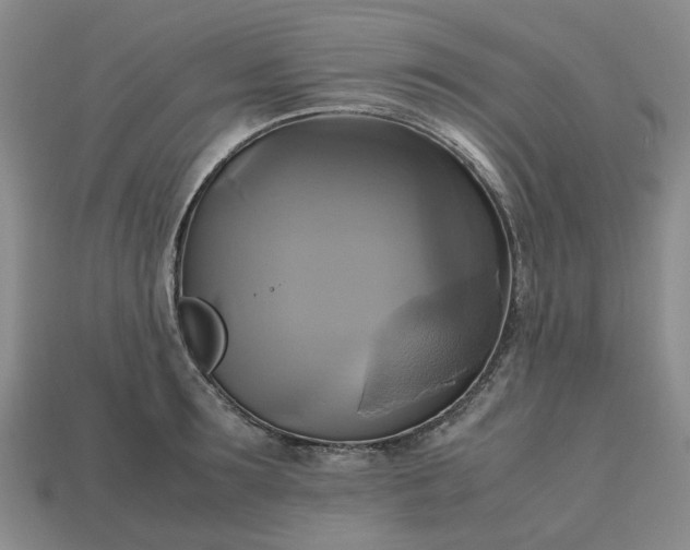 X0000112970899200909101650