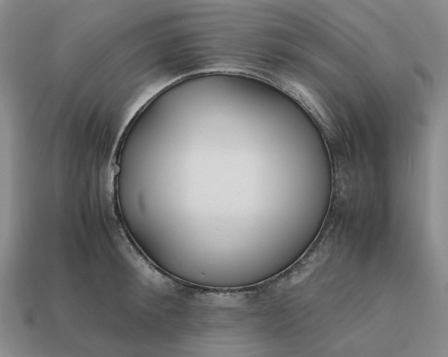 X0000112970900200909101650