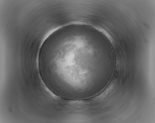 X0000112970902200909101650