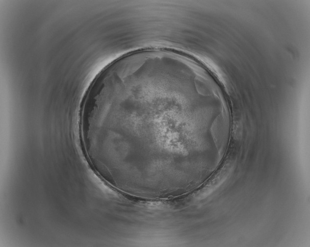 X0000112970903200909101650