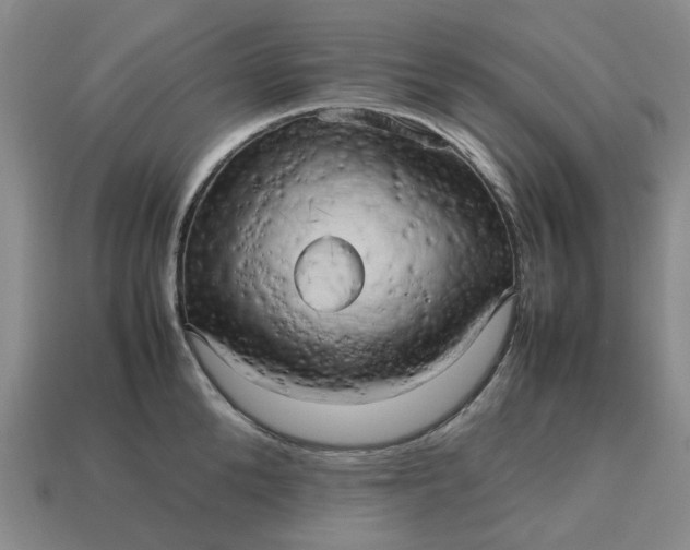 X0000112970904200909101650