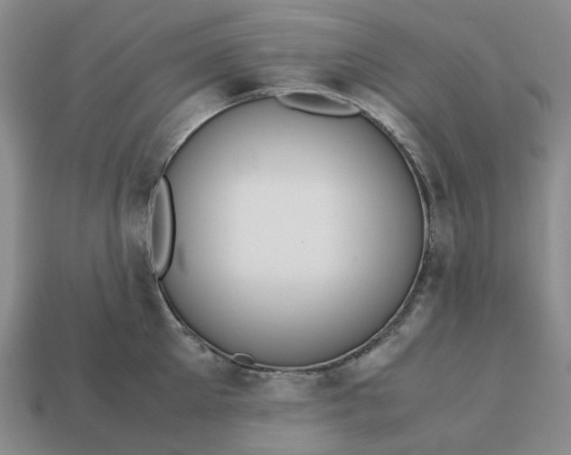 X0000112970905200909101650