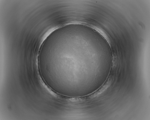 X0000112970906200909101650