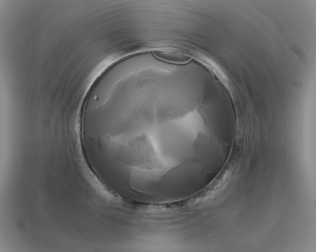 X0000112970907200909101650