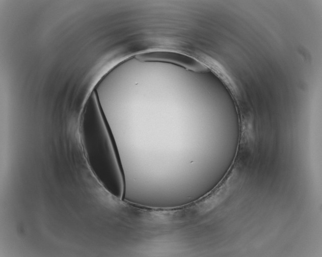 X0000112970908200909101650